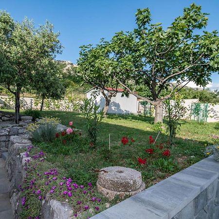 Villa Carmen Draga Bascanska Exterior photo